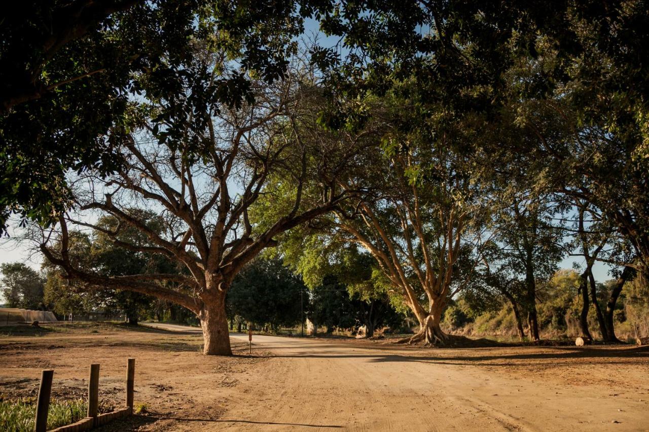 Letaba Junction Lodge Letsitele Buitenkant foto